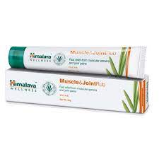 MUSCLE & JOINT RUB 20GM